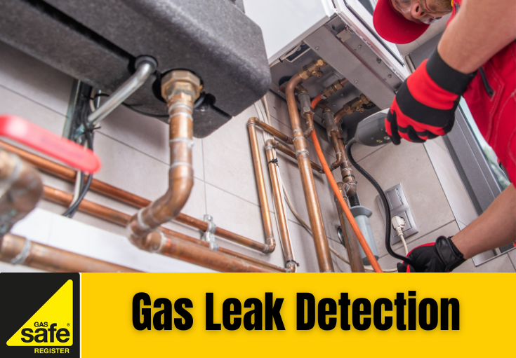 gas leak detection Staplehurst